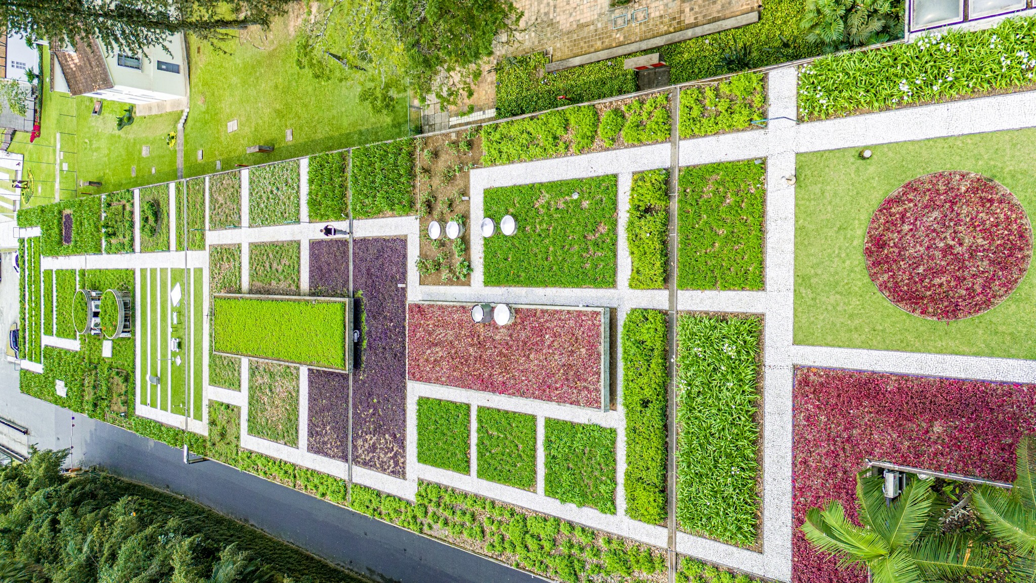 DJI_20240907114456_0003_D (1).jpg